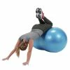 Gymnic Physio-Roll Fitness Ball, 28 Inch, Blue, Each