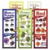 Visualz Fruits And Vegetables By Color Poster, 8-1/2 X 24 Inch, Set Of 5 1 Visualz Fruits And Vegetables By Color Poster, 8-1/2 X 24 Inch, Set Of 5 -Accusplit Shop 1356800 A ecommfullsize