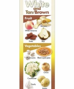 Visualz Fruits And Vegetables By Color Poster, 8-1/2 X 24 Inch, Set Of 5 12 Visualz Fruits And Vegetables By Color Poster, 8-1/2 X 24 Inch, Set Of 5 -Accusplit Shop 1356800 F ecommfullsize