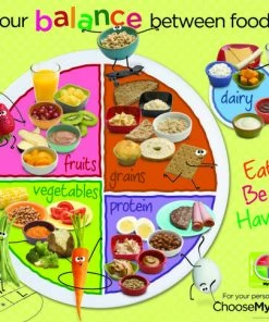 Visualz MyPlate 18 X 24 In Laminated English Poster, Ages 2 Thru 8