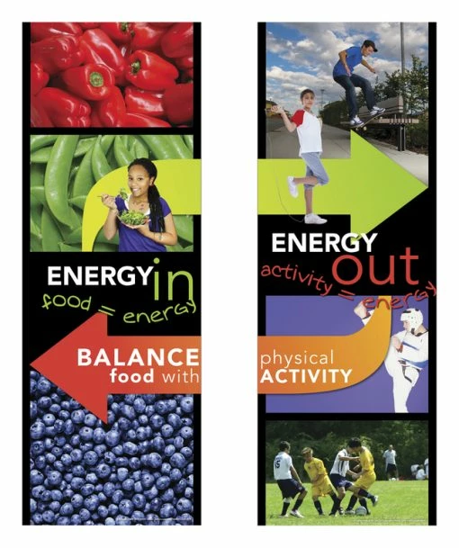 Visualz Energy In/Energy Out Posters, Set Of 2