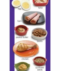 Visualz Food Groups Posters, 8 1/2 X 24 Inches, Set Of 5 -Accusplit Shop 1453465 E ecommfullsize