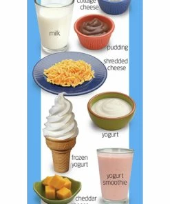 Visualz Food Groups Posters, 8 1/2 X 24 Inches, Set Of 5 -Accusplit Shop 1453465 F ecommfullsize
