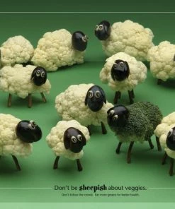 Visualz Horizontal Frame, 18 X 24 Inches