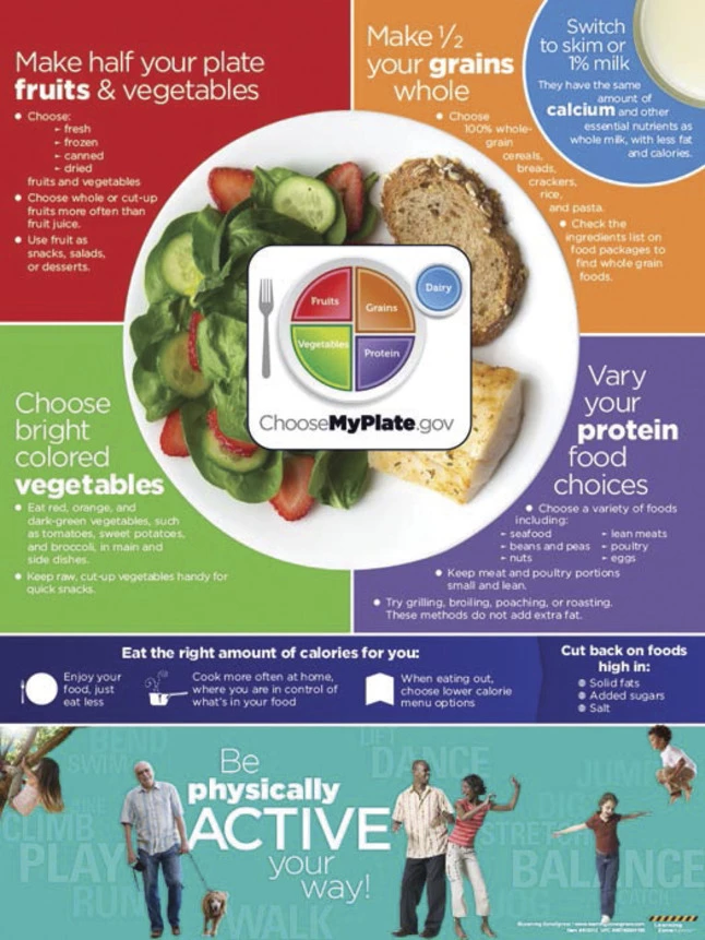 Visualz Active My Plate Poster, 18 L X 24 W In 3 Visualz Active My Plate Poster, 18 L X 24 W In