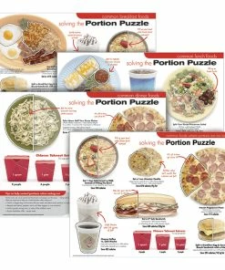 Visualz Portion Puzzle Poster Set, Grades 6 - Adult, Set Of 4