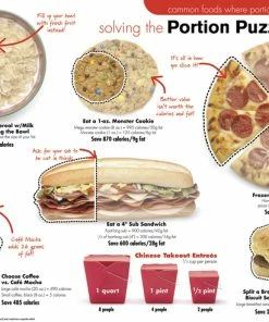 Visualz Portion Puzzle Poster Set, Grades 6 - Adult, Set Of 4 -Accusplit Shop 1492311 B ecommfullsize