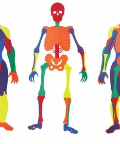 Poly Enterprises Muscle Man And Bone Puzzle Set, 6 Feet 2 Inches, Poly