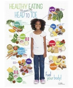 Visualz Kids Healthy Head To Toe Poster