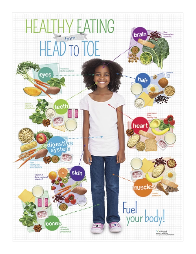 Visualz Kids Healthy Head To Toe Poster 3 Visualz Kids Healthy Head To Toe Poster
