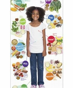 Visualz Kids Healthy Head To Toe Banner With Stand