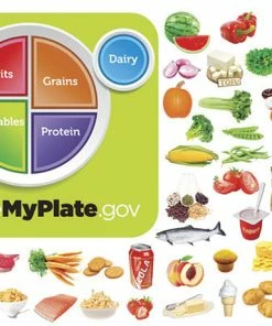 Little Folk Visuals MyPlate Flannel Set