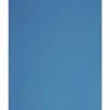 Aeromat Elite Workout Mat With Handle, 24 X 72 Inches, 1/2 Inch Thick, Blue, Phthalate Free 1 Aeromat Elite Workout Mat With Handle, 24 X 72 Inches, 1/2 Inch Thick, Blue, Phthalate Free -Accusplit Shop 2040662 B ecommfullsize