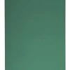 Aeromat Elite Workout Mat With Handle, 24 X 56 Inches, 1/2 Thick, Green, Phthalate Free 1 Aeromat Elite Workout Mat With Handle, 24 X 56 Inches, 1/2 Thick, Green, Phthalate Free -Accusplit Shop 2040666 B ecommfullsize