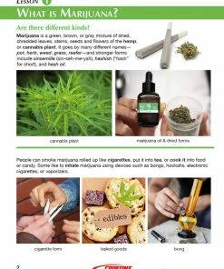 Sportime All About Marijuana Student Guide -Accusplit Shop 2092234 C ecommfullsize