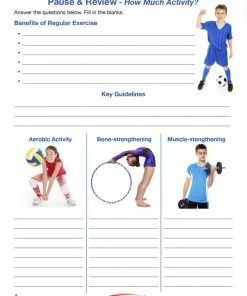 Sportime Exercise Facts Student Guide -Accusplit Shop 2092241 D ecommfullsize